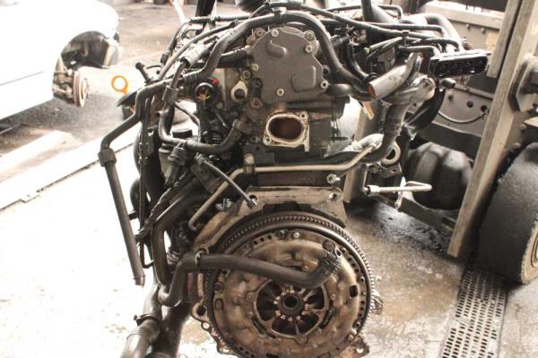 MOTEUR VW / AUDI / SEAT / SKODA 1.9TDI 90CV CODE BRU - Vue 3